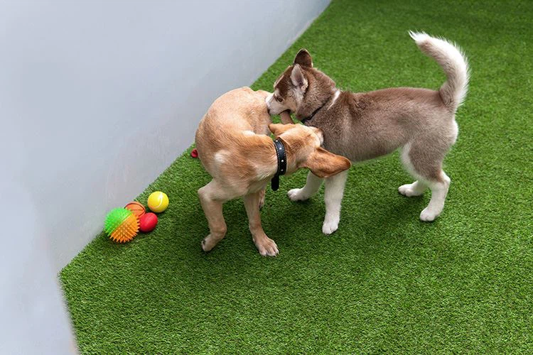 artificial grass for pet synthetic turf for dog