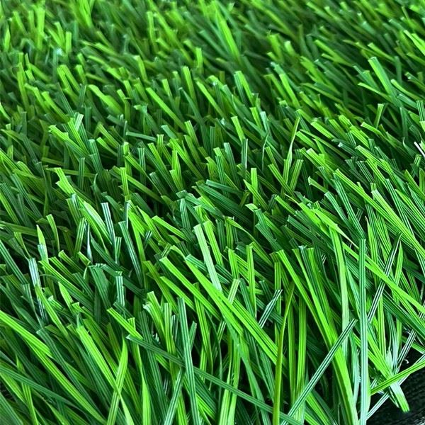M shape grass