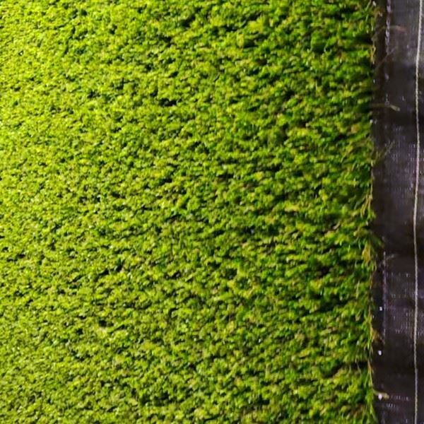 green brown turf