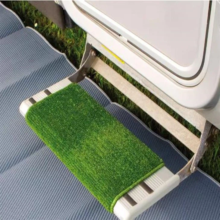 RV foot carpets